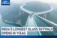 All About India's Longest Cantilever Glass Bridge: All You Need To Know All About India's Longest Cantilever Glass Bridge: All You Need To Know