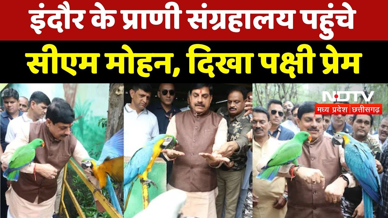 Indore News : इंदौर के Zoological Museum पहुंचे CM Mohan Yadav, दिखा पक्षी प्रेम