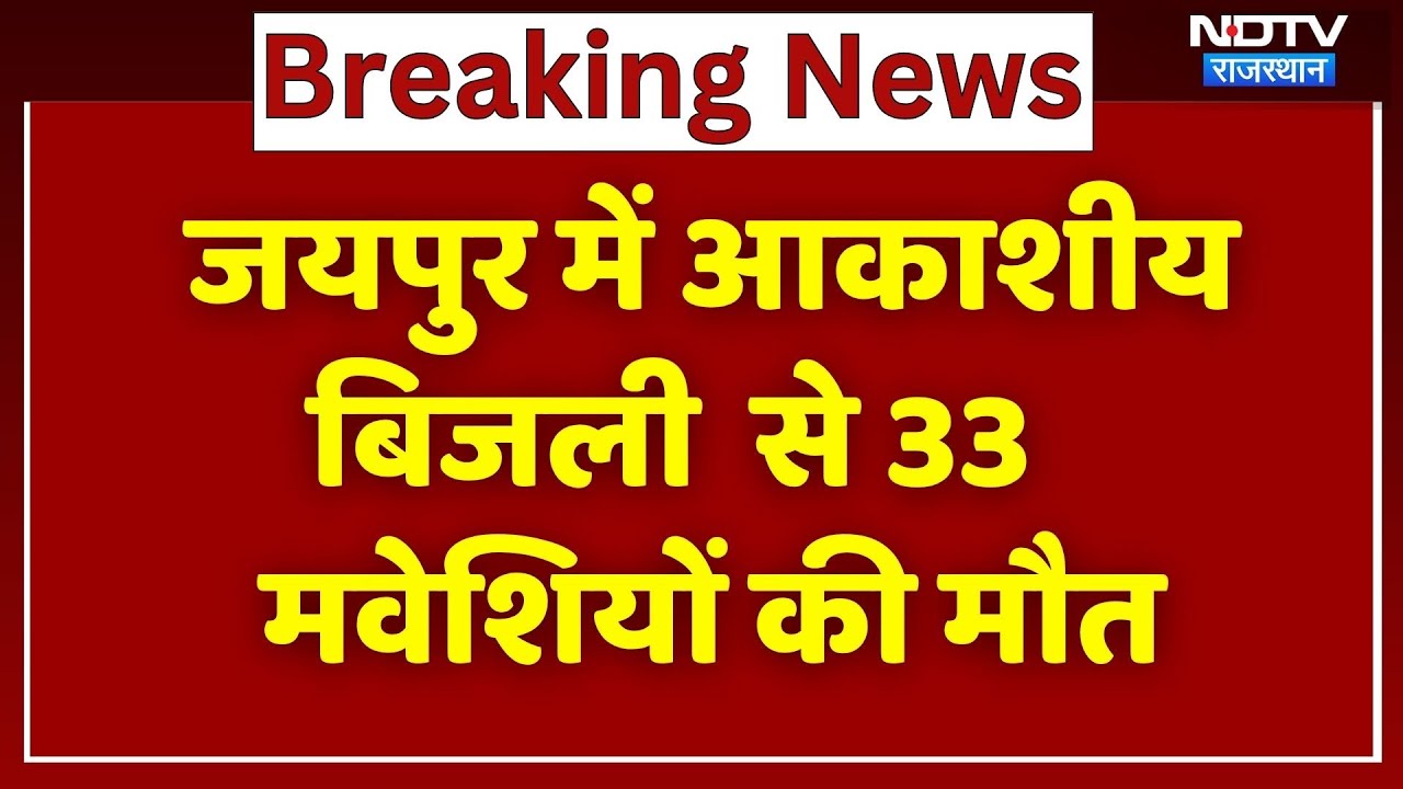 Jaipur में Lightning Strike से 33 मवेशियों की मौत | Breaking News | Latest News | Rajasthan Jaipur में Lightning Strike से 33 मवेशियों की मौत | Breaking News | Latest News | Rajasthan