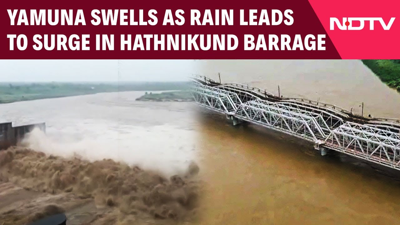 Hathnikund Barrage | Yamuna Swells As Rainfall Leads To Surge In Level At Hathnikund Barrage