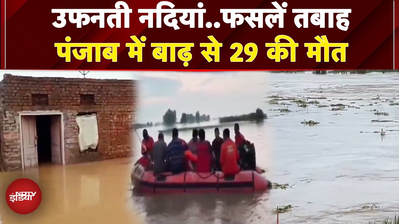 Punjab में बाढ़ और बारिश से बिगड़ते हालात, अब तक 29 मौतें | Heavy Rains | Flood