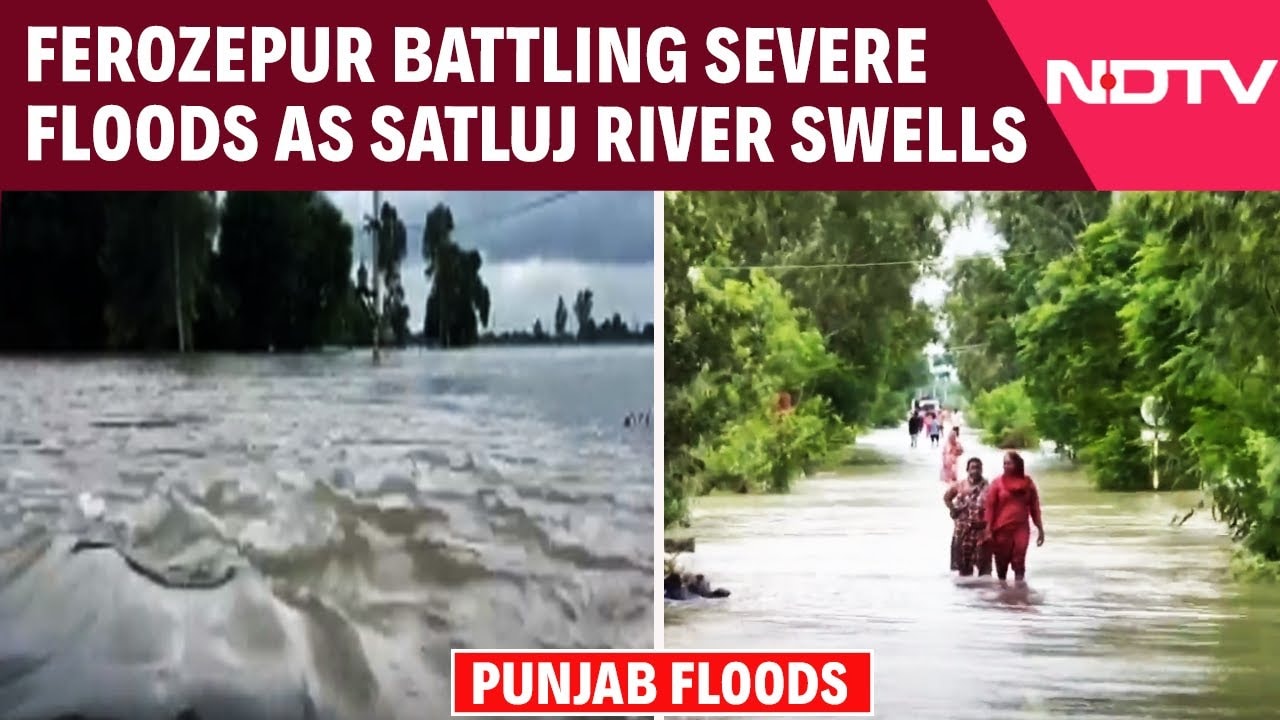 Ferozepur Battling Severe Floods As Satluj River Swells; Governor Pushes For Aid