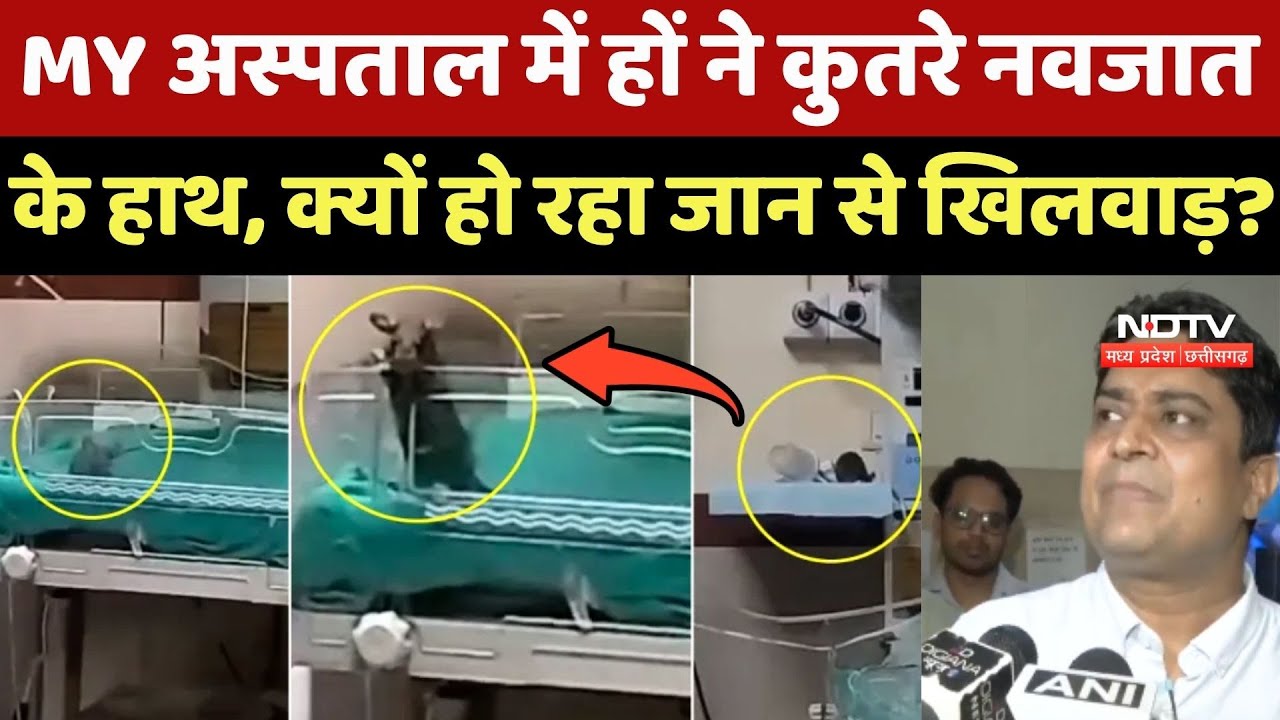 Indore के MY Hospital में चहों ने कुतरे नवजात के हाथ, क्यों हो रहा जान से खिलवाड़?