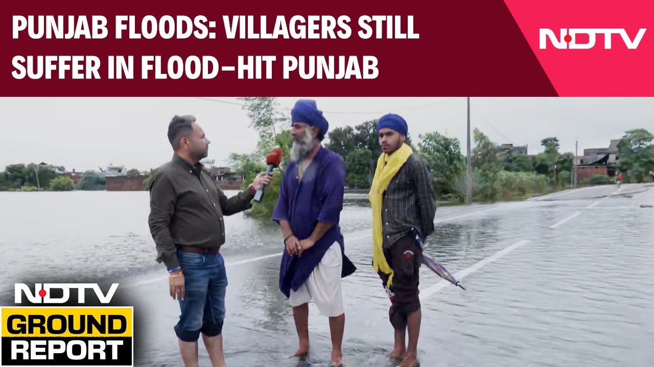 Video: Punjab Flood News | NDTV Ground Report: Villagers Still Suffer In Flood-Hit Punjab