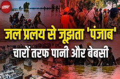 Punjab Floods से हाहाकार 1,300+ गांव डूबे, लोग फंसे, चारों तरफ बस पानी ही पानी, बचाव कार्य जारी Punjab Floods से हाहाकार 1,300+ गांव डूबे, लोग फंसे, चारों तरफ बस पानी ही पानी, बचाव कार्य जारी