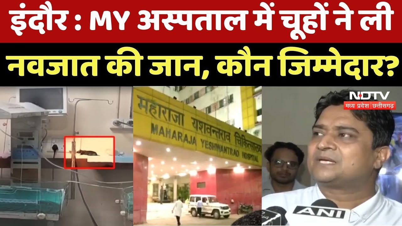 Indore Rats Attack on Newborn : MY Hospital में चूहों ने ली नवजात की जान, कौन जिम्मेदार ?
