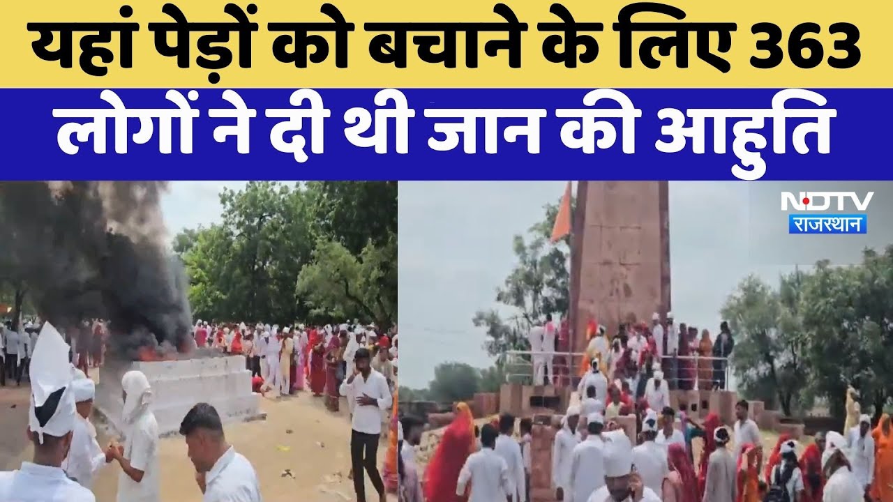 Khejri Tree , जिसे बचाने के लिए 363 लोगों ने दिया था बलिदान?