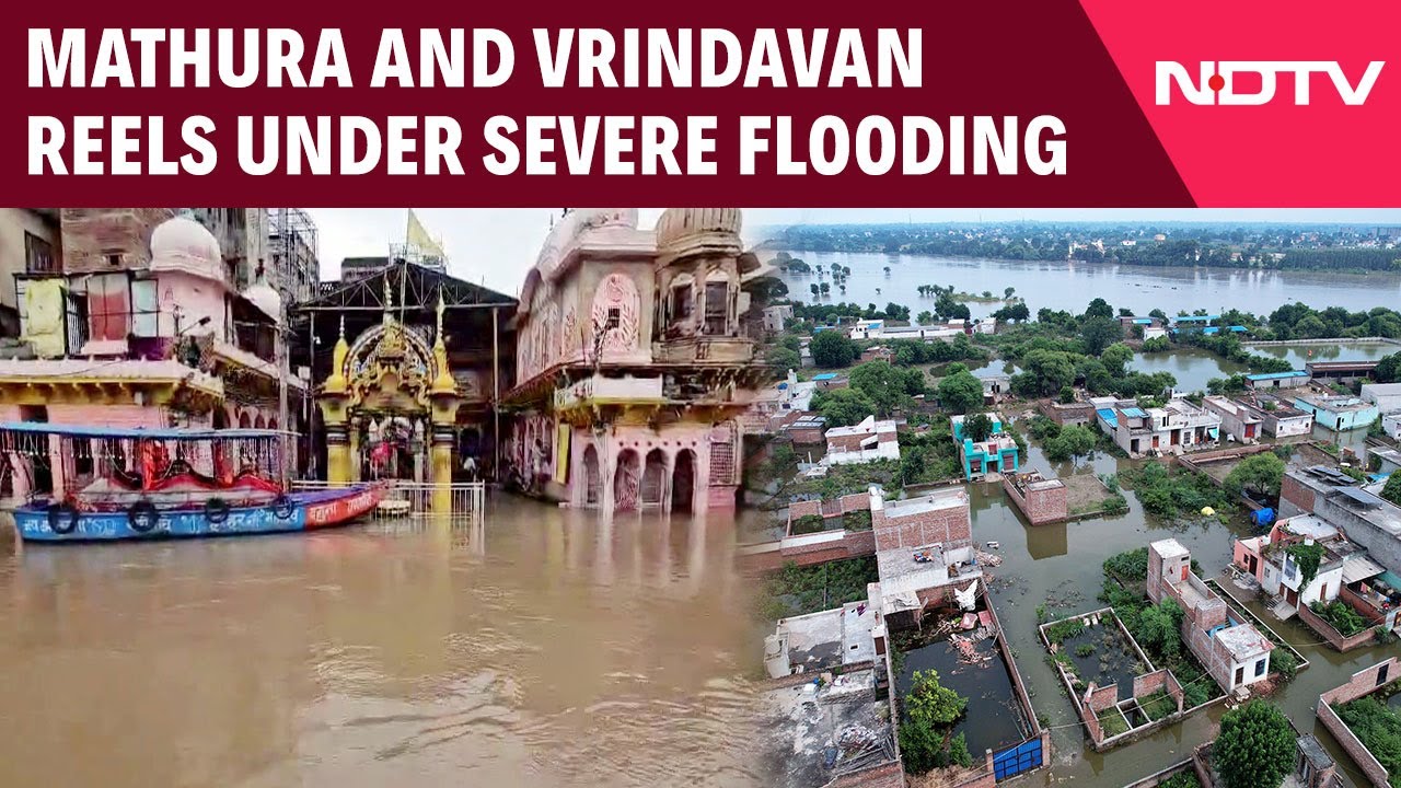 UP Rains | Rising Water Levels Of Yamuna Inundate Low-Lying Areas Of Mathura And Vrindavan UP Rains | Rising Water Levels Of Yamuna Inundate Low-Lying Areas Of Mathura And Vrindavan