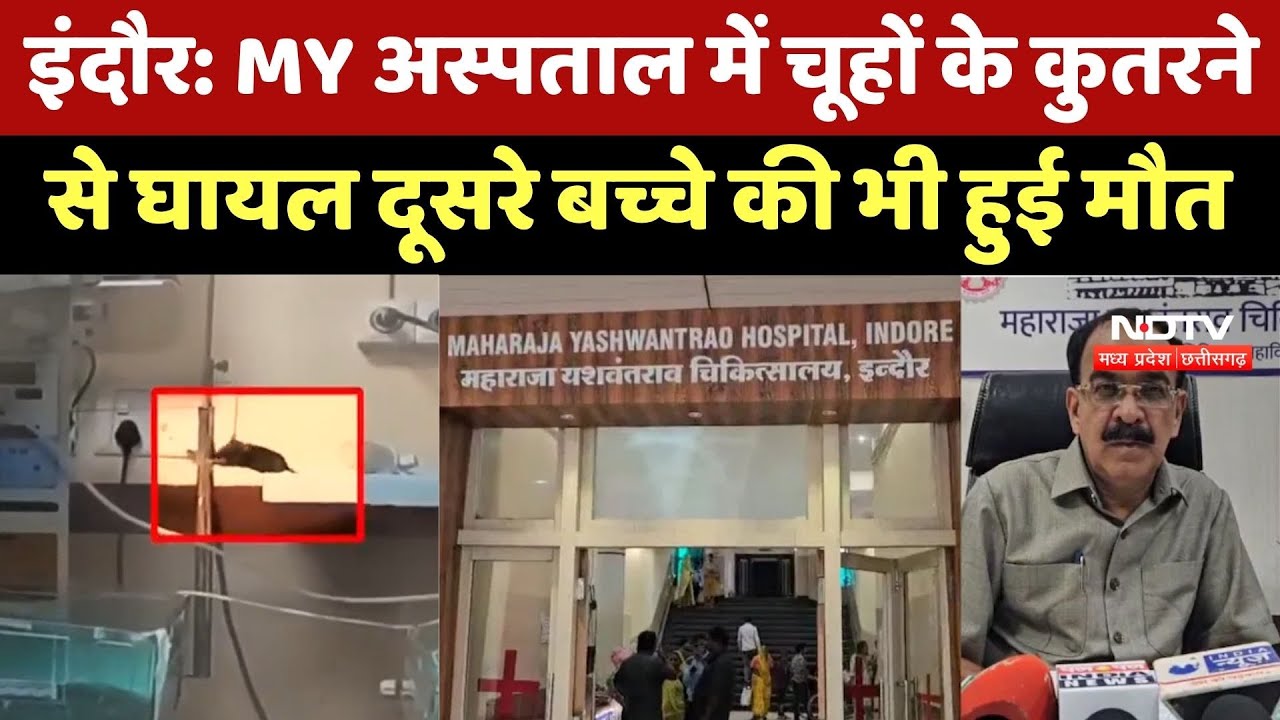 Indore के MY Hospital में जिन 2 नवजातों के हाथों को Rats ने कुतरा, दोनों की हो गई मौत