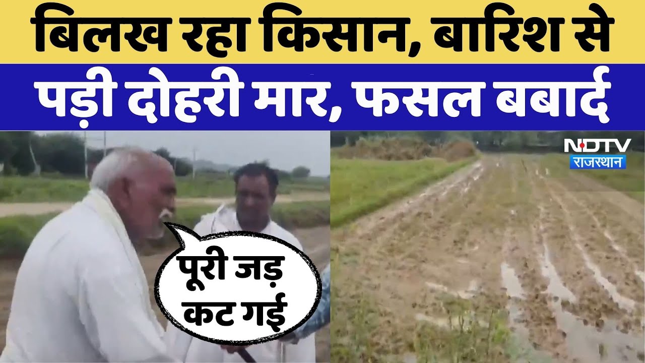 Kotputli Heavy Rain: बिलख रहा Farmer | Viral Video | Latest News | Rajasthan Top News | Monsoon