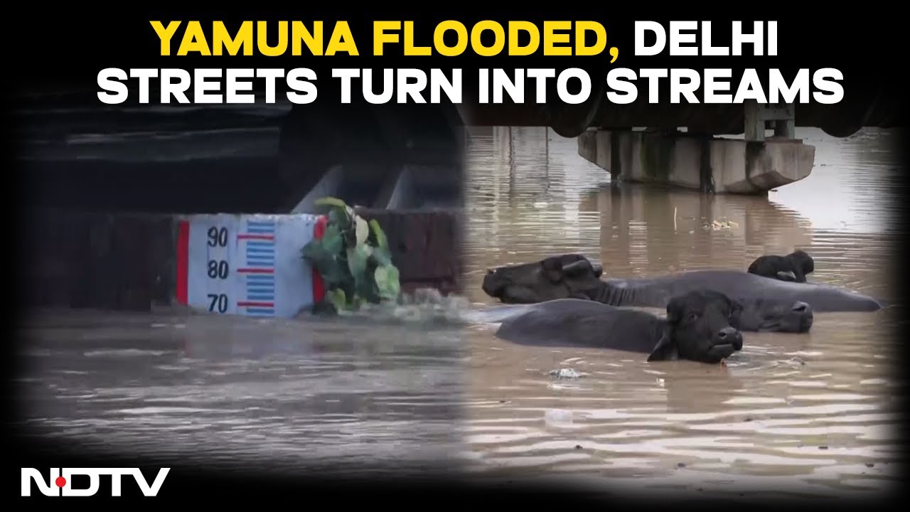 Yamuna Flooded | Delhi Streets Turn Into Streams, Markets Under Water Amid Yamuna Flooding
