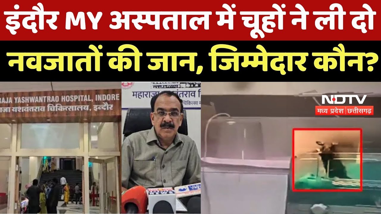 MY Hospital की लापरवाही उजागर, चूहों ने कुतरे नवजातों के हाथ, बच्चों की हुई मौत