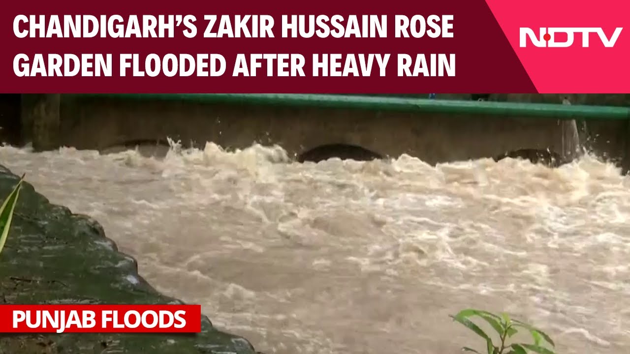 Punjab Flood News | Chandigarh’s Zakir Hussain Rose Garden Flooded After Intense Rainfall