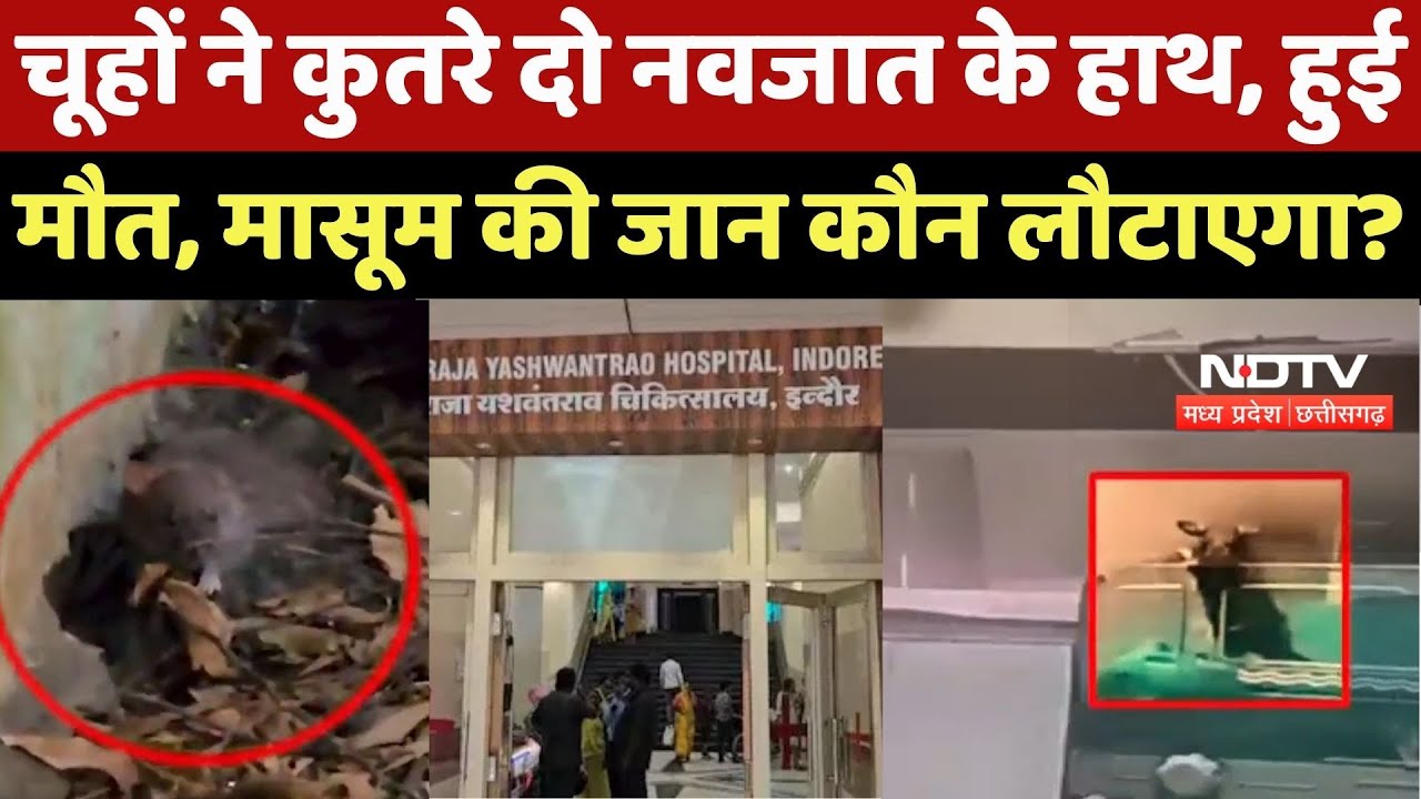 MY Hospital में चूहों ने कुतरे दो नवजात के हाथ, हुई मौत, मासूम की जान कौन लौटाएगा ?