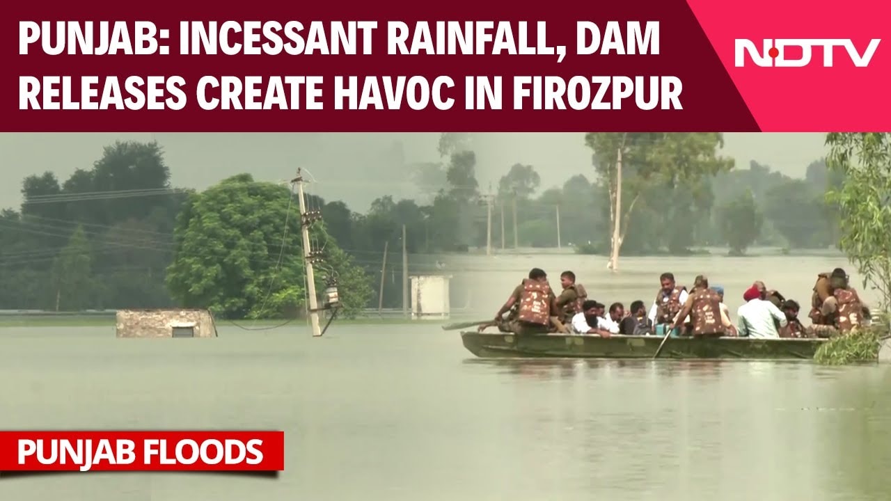 Punjab Flood Updates | Incessant Rainfall, Sutlej Swelling Worsen Flood Situation In Firozpur