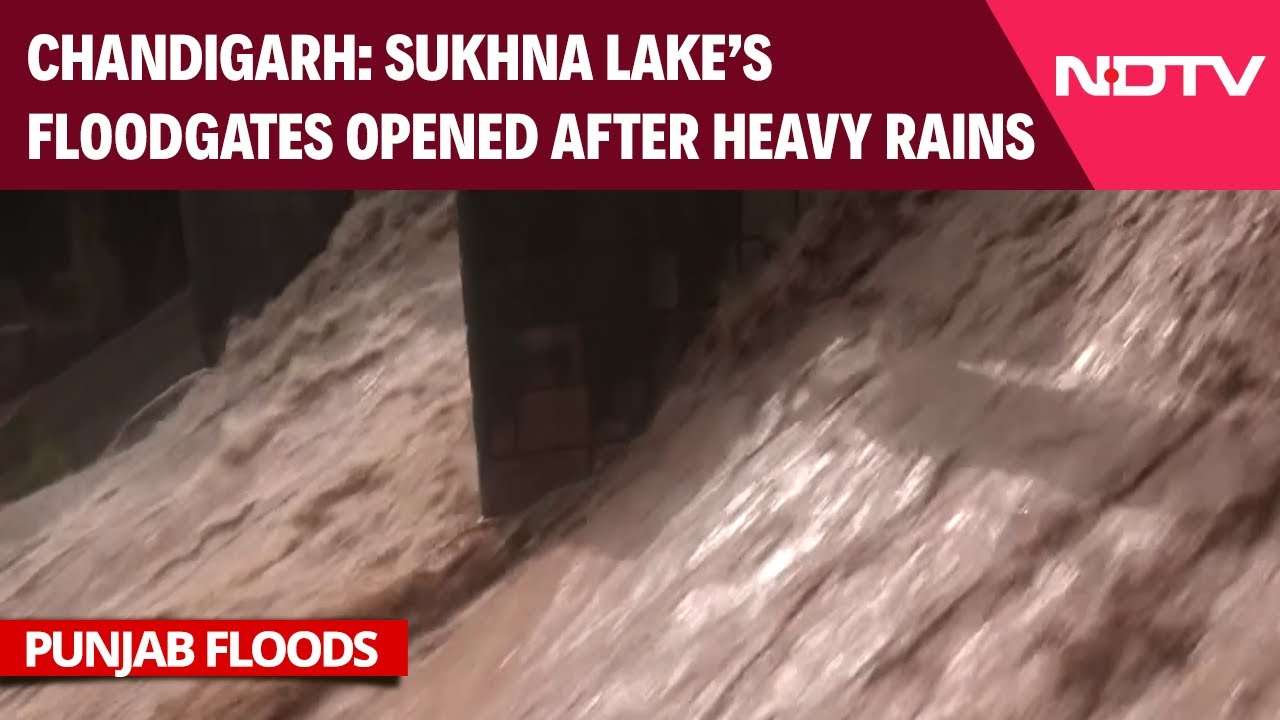 Punjab Flood News | Sukhna Lake's Floodgates Opened After Heavy Rain In Chandigarh Punjab Flood News | Sukhna Lake's Floodgates Opened After Heavy Rain In Chandigarh
