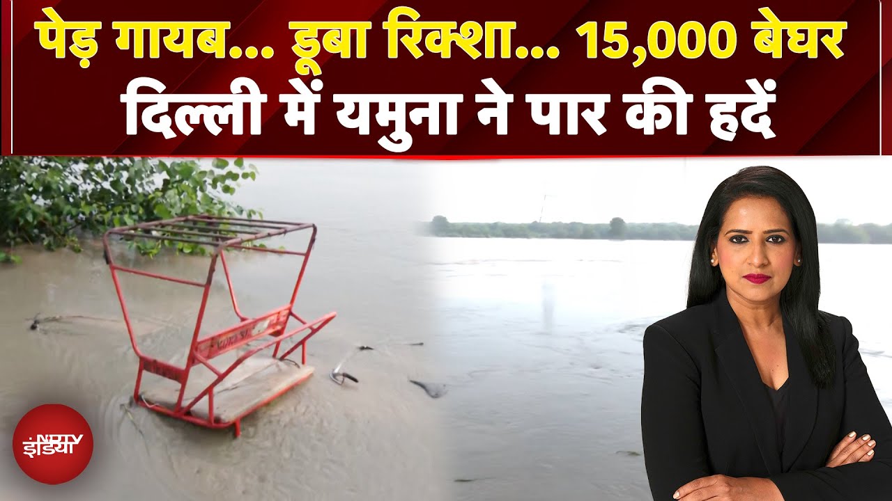 Delhi Flood: पेड़ गायब… डूबा रिक्शा... 15,000 बेघर, दिल्ली में यमुना ने पार की हदें | GROUND REPORT
