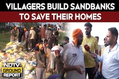 Punjab Floods News | Firozpur Locals Build Sandbanks To Save Their Village Amid Swollen Sutlej Punjab Floods News | Firozpur Locals Build Sandbanks To Save Their Village Amid Swollen Sutlej
