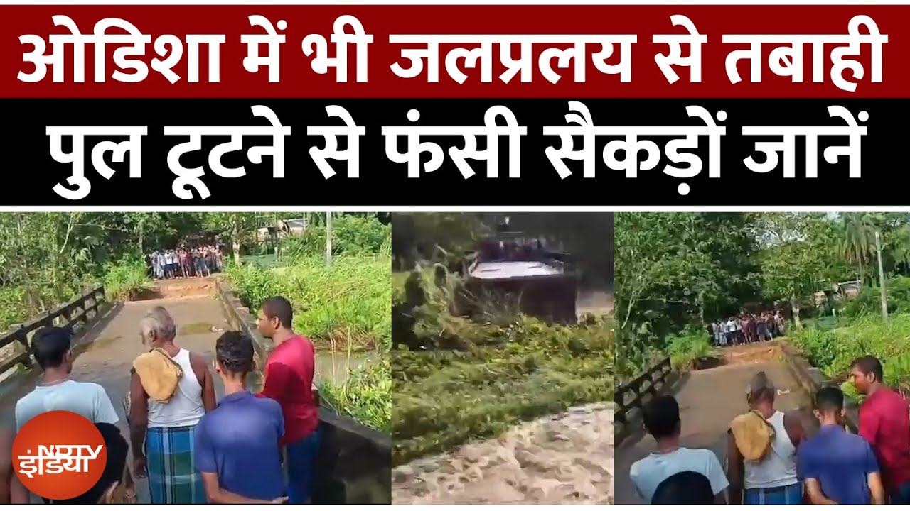 Video: Odisha Flood Live Video: ओडिशा के जाजपुर में पुल गिरा! बाढ़ जैसी तबाही | Top News | Weather Update