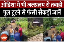 Odisha Flood Live Video: ओडिशा के जाजपुर में पुल गिरा! बाढ़ जैसी तबाही | Top News | Weather Update Odisha Flood Live Video: ओडिशा के जाजपुर में पुल गिरा! बाढ़ जैसी तबाही | Top News | Weather Update