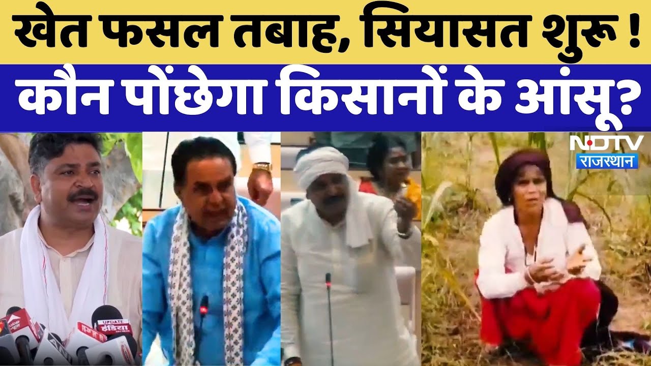 Rajasthan Flood: Crops submerged, अन्नदाता परेशान कौन पौंछेगा आसूं ? | Rajasthan Top News