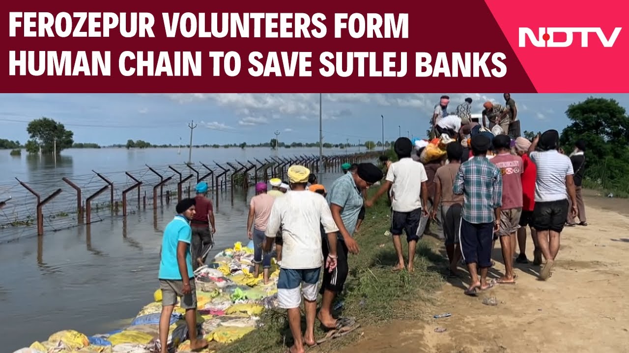 Video: Punjab Floods | Volunteers Bring Soil And Sandbags To Save Sutlej Embankment In Ferozepur