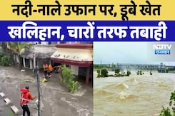 Rajasthan Flood: नदी-नाले उफान पर, डूबे खेत खलिहान | Rajasthan Top News | Viral Video Rajasthan Flood: नदी-नाले उफान पर, डूबे खेत खलिहान | Rajasthan Top News | Viral Video