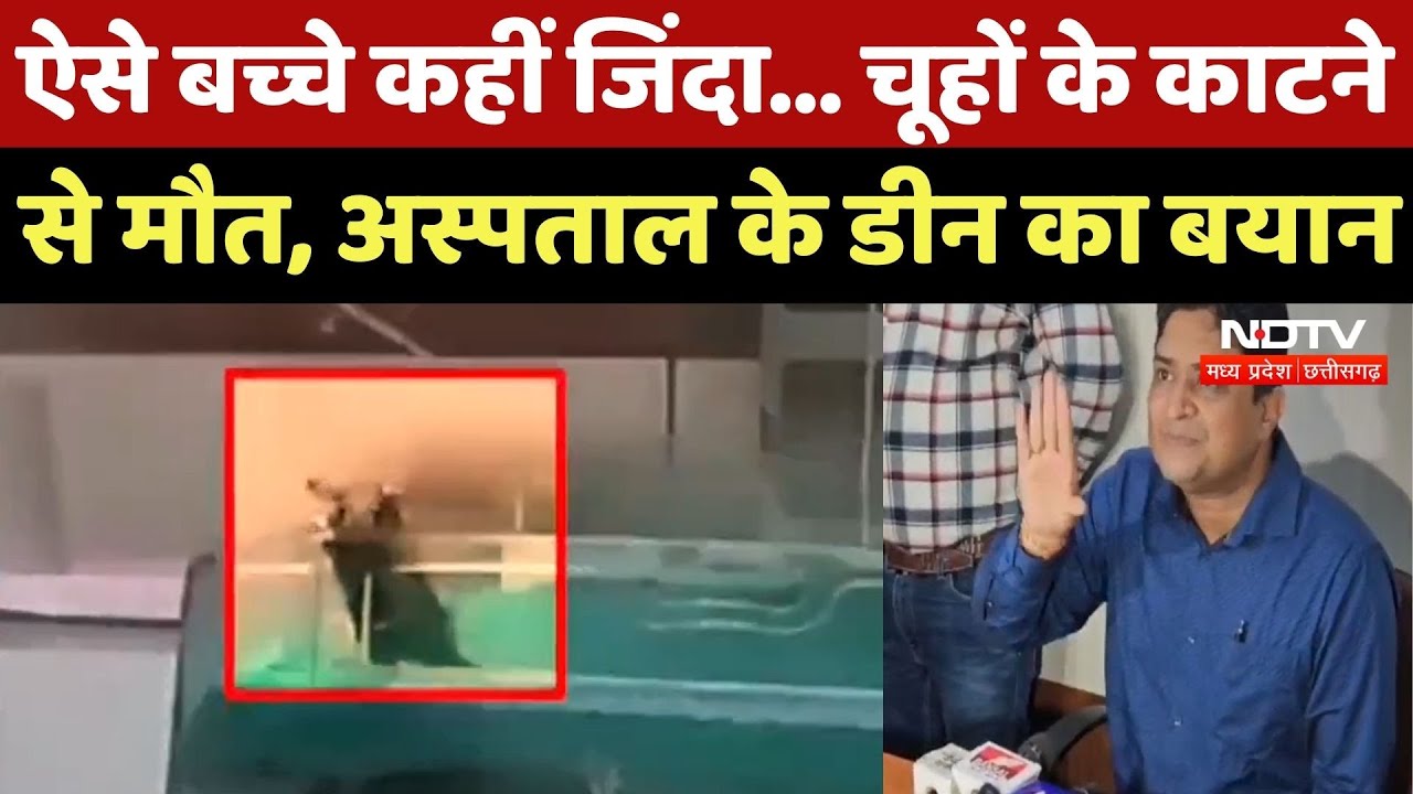 MY Hospital में चूहों के काटने से बच्चों की मौत, अस्पताल के Dean का बड़ा बयान | Madhya Pradesh News