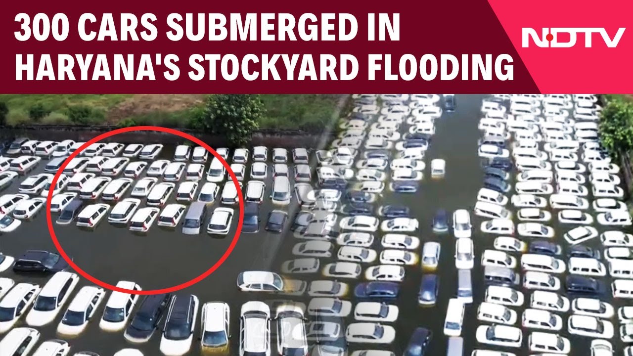 Haryana Maruti Stockyard Waterlogged, Around 300 Vehicles Damaged In Flooding Haryana Maruti Stockyard Waterlogged, Around 300 Vehicles Damaged In Flooding