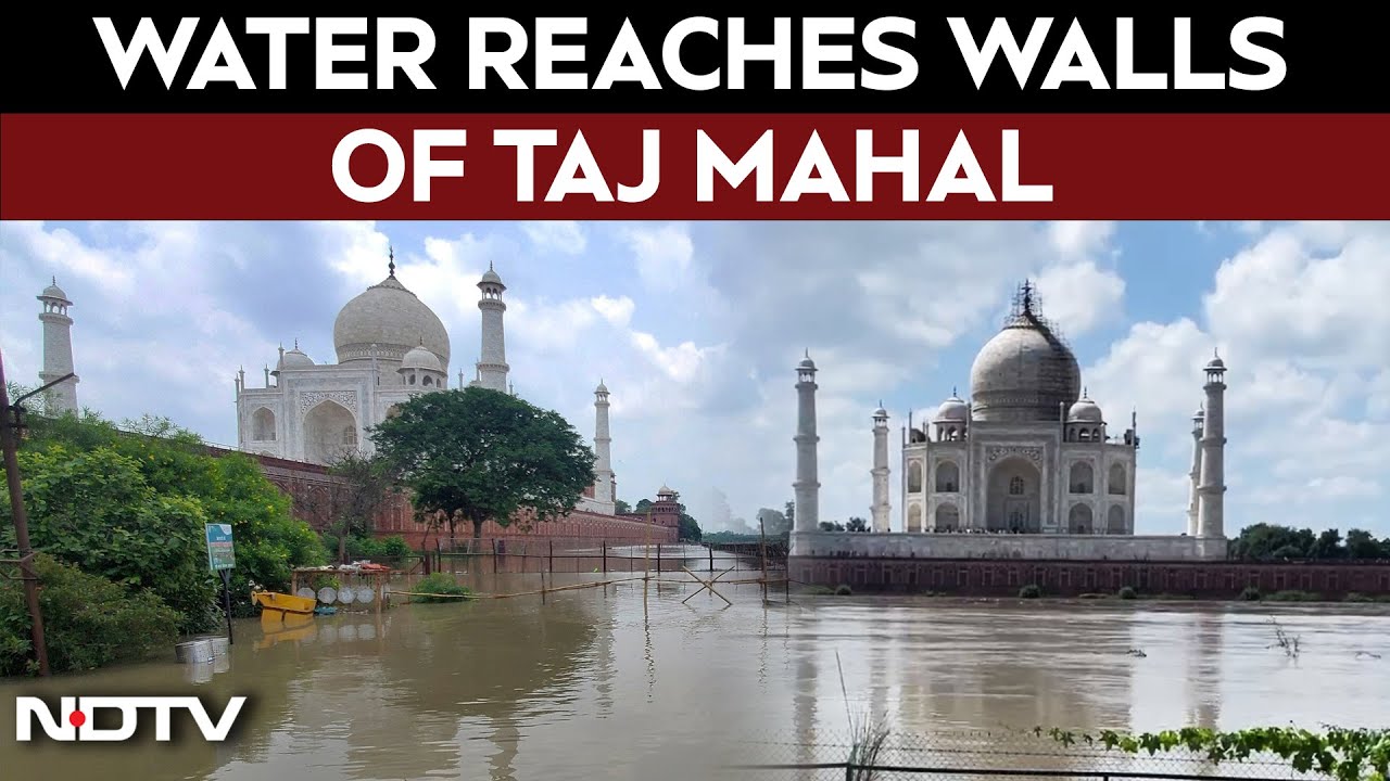 Taj Mahal Flood | Water Reaches Walls Of Taj Mahal Due To Rising Yamuna Levels In Agra