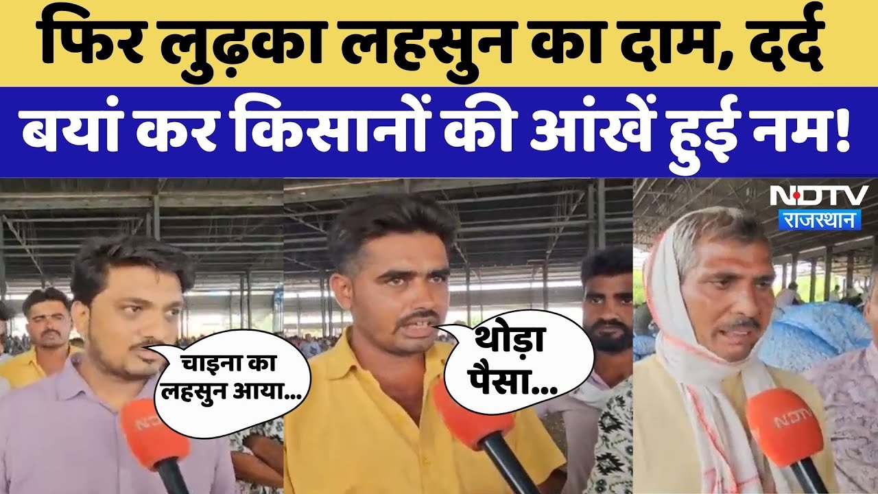 Garlic Prices: फिर लुढ़का लहसुन का दाम, दर्द बयां कर किसानों की आंखें हुई नम!। Top News