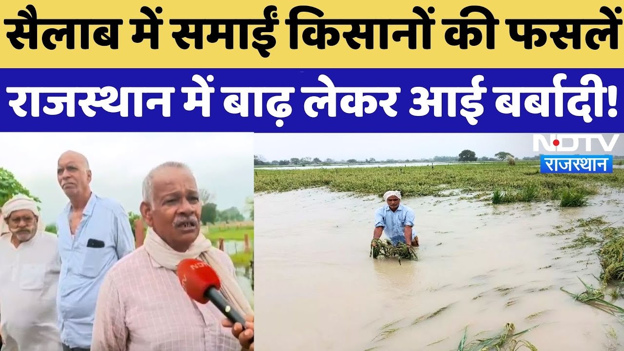 Rajasthan Flood: फसलें डूबीं, उम्मीदें टूटी, किसान परेशान| Farmers News | Crops Damage | Heavy Rain Rajasthan Flood: फसलें डूबीं, उम्मीदें टूटी, किसान परेशान| Farmers News | Crops Damage | Heavy Rain