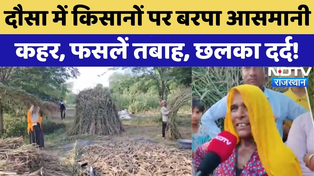 Heavy Rain in Rajasthan:  किसानों पर बरपा बारिश का कहर, फसलें तबाह