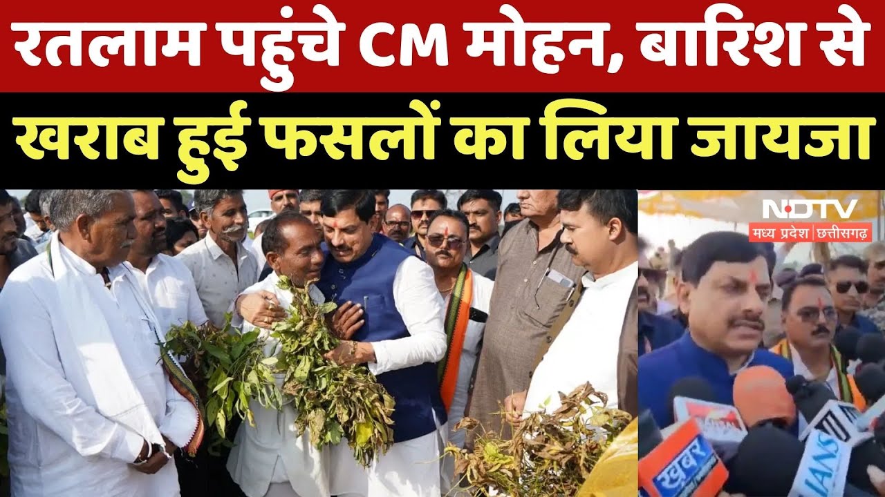 MP News : Ratlam पहुंचे CM Mohan Yadav, बारिश से खराब हुई फसलों का लिया जायजा