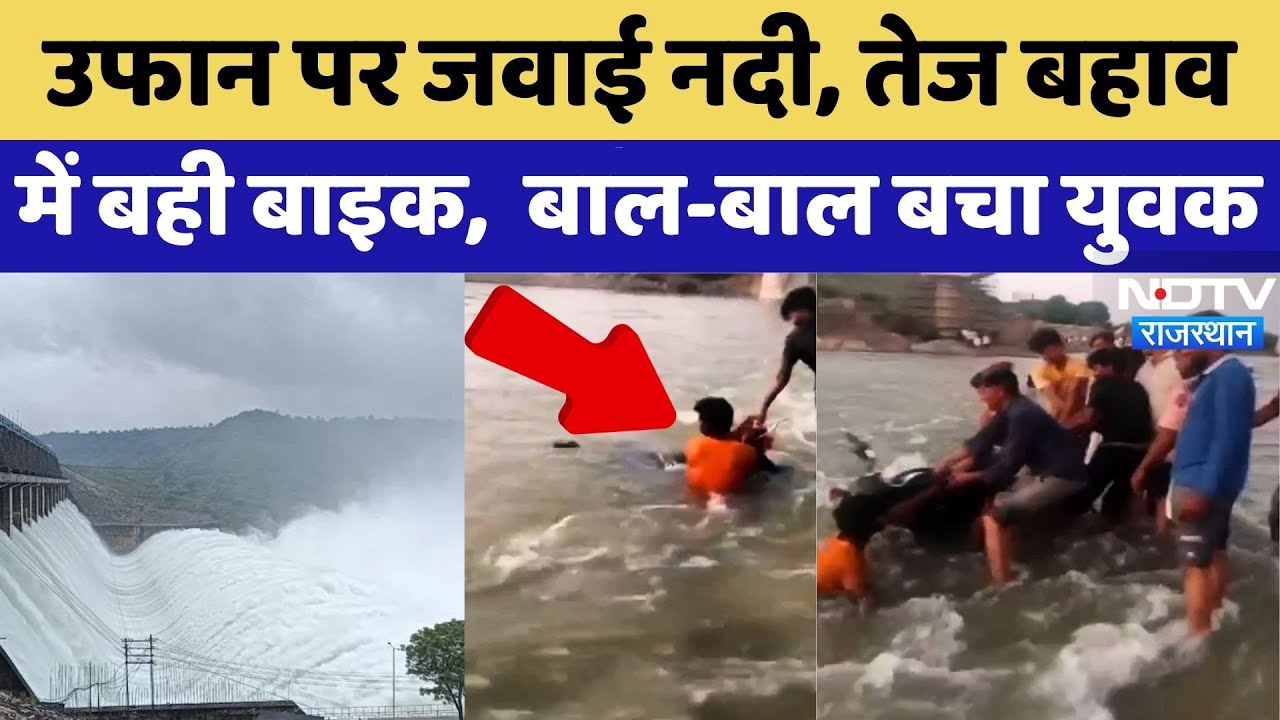 Jawai River में बहा युवक, स्थानीय लोगों ने बचाया| Jawai Dam | Flood | Heavy Rain | Viral |Rajasthan