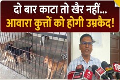 आवारा कुत्तों को होगी उम्रकैद! Yogi सरकार का अनोखा आदेश | UP Stray Dogs Law Explained | Top News आवारा कुत्तों को होगी उम्रकैद! Yogi सरकार का अनोखा आदेश | UP Stray Dogs Law Explained | Top News
