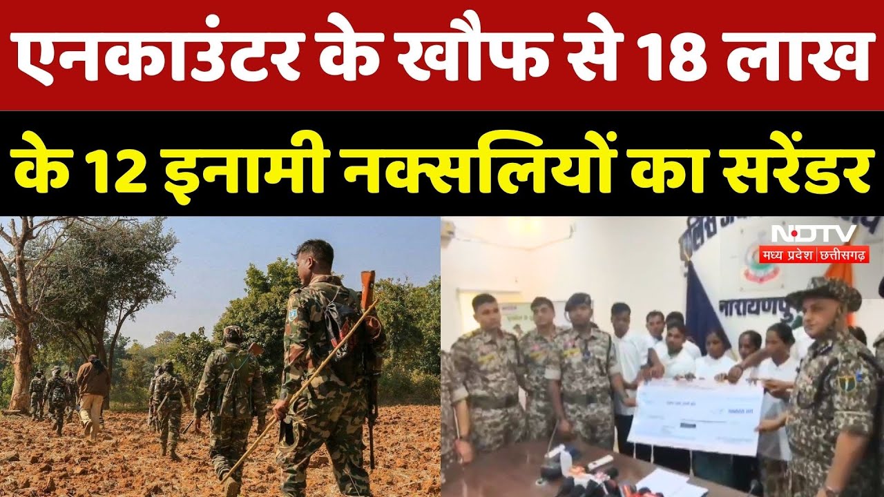 Naxal Surrender in Narayanpur: जवानों के एक्शन से खौफ में Naxali, 12 नक्सलियों का सरेंडर | Breaking