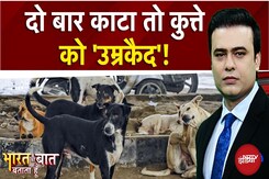 Stray Dogs: दो बार काटने पर कुत्ते को 'उम्रकैद'! Bharat Ki Baat Batata Hoon | Syed Suhail | UP News Stray Dogs: दो बार काटने पर कुत्ते को 'उम्रकैद'! Bharat Ki Baat Batata Hoon | Syed Suhail | UP News