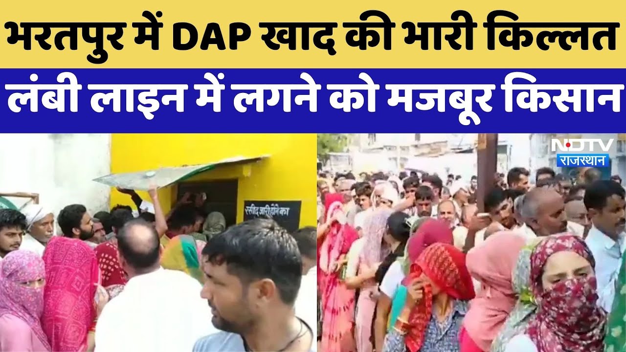 Bharatpur में DAP खाद की भारी किल्लत, लंबी लाइन में लगने को मजबूर किसान | Top News | Latest News Bharatpur में DAP खाद की भारी किल्लत, लंबी लाइन में लगने को मजबूर किसान | Top News | Latest News