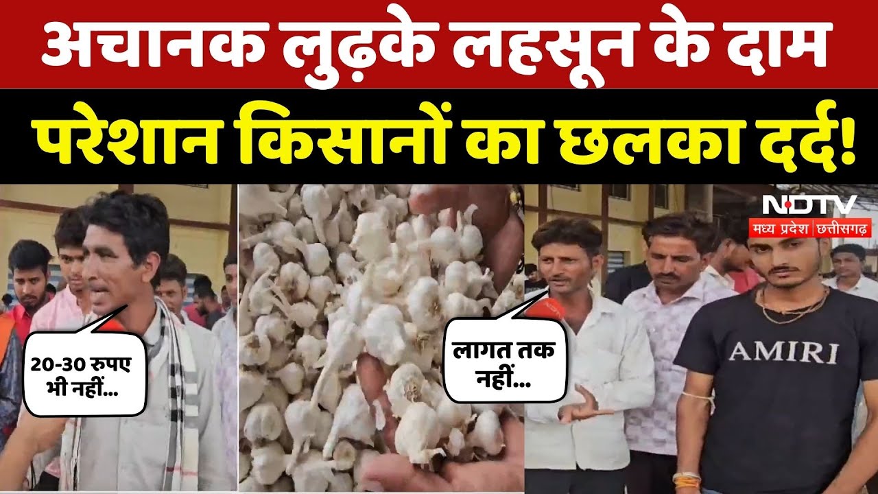 Agar Malwa News: Garlic के अचानक गिरे दाम, गुस्साए किसानों ने सुनिए क्या कहा? Farmers | MP News