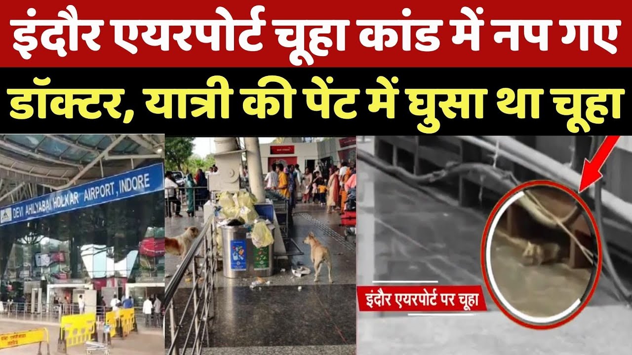 Indore Airport Rat Bite Case: चूहा कांड में नप गए Doctor, यात्री की पेंट में घुसा था चूहा | Top News