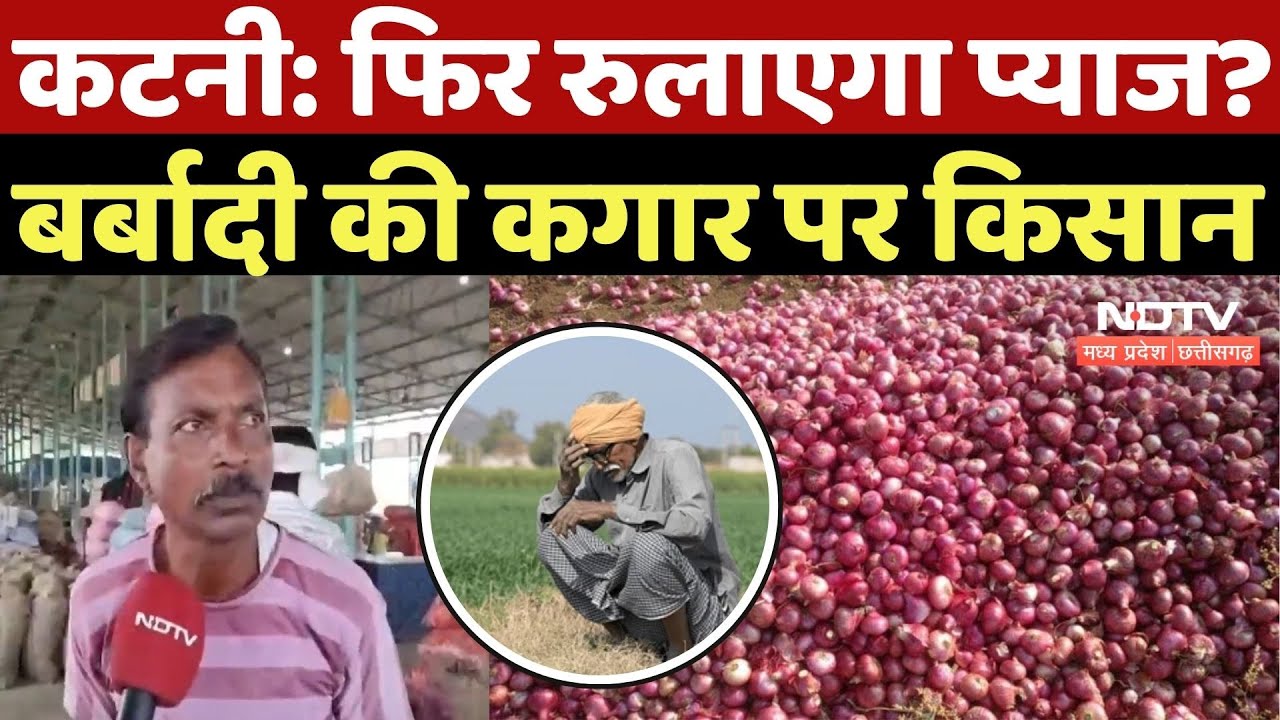 Onion Prices Falls In Katani: फिर रुलाएगा प्याज? बर्बादी की कगार पर किसान | Onion Rates Onion Prices Falls In Katani: फिर रुलाएगा प्याज? बर्बादी की कगार पर किसान | Onion Rates
