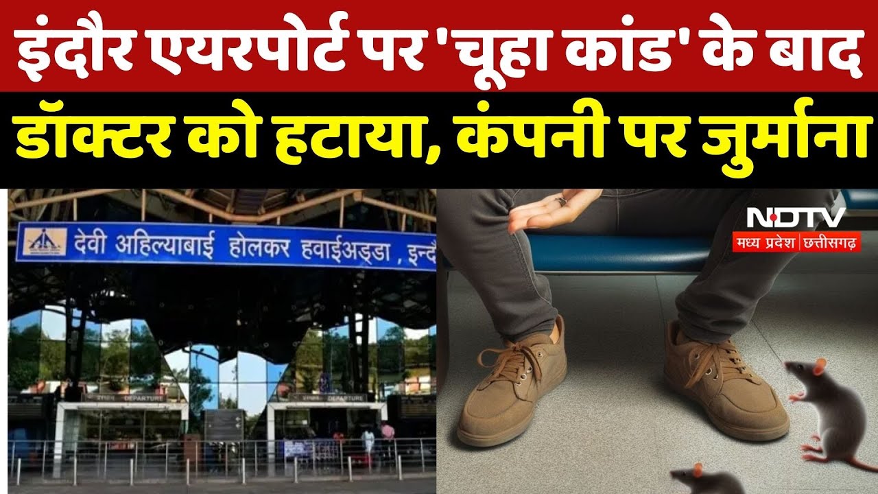 Indore Airport Rat Bite Case: 'चूहा कांड' के बाद डॉक्टर को हटाया, पेस्ट कंट्रोल कंपनी पर जुर्माना