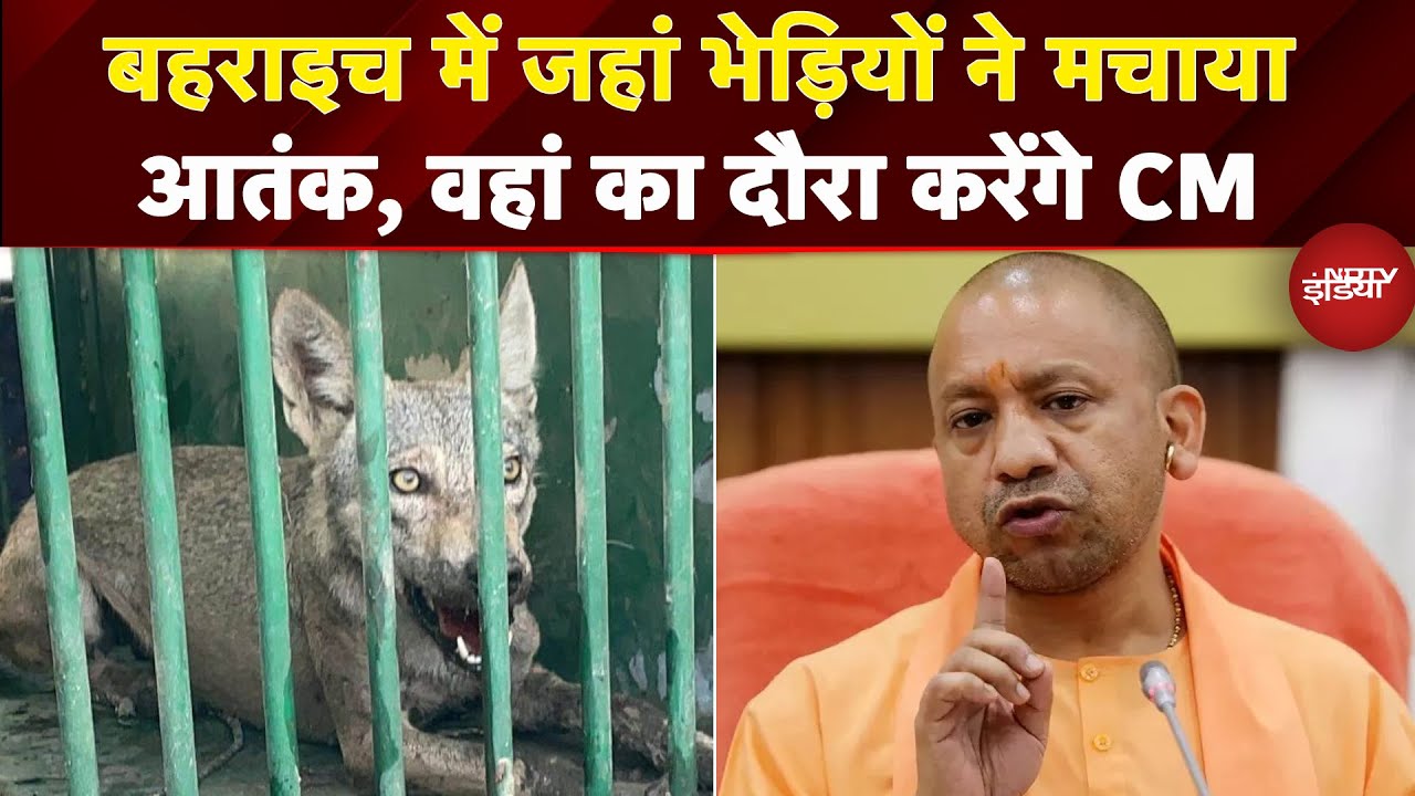 CM Yogi कल जाएंगे Bahraich, भेड़ियों के आतंक वाले इलाके का करेंगे दौरा | UP News
