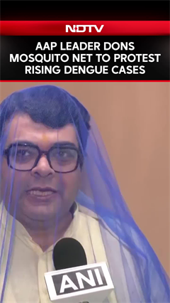 AAP Leader Dons Mosquito Net to Protest Rising Dengue Cases AAP Leader Dons Mosquito Net to Protest Rising Dengue Cases