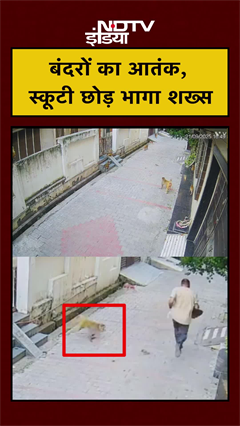 UP News: बंदरों का आतंक, स्कूटी छोड़ भागा शख्स | #shorts | #viralvideo