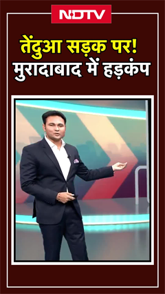 Muradabad में leopard का आतंक! रिहायशी इलाके में सड़क किनारे तेंदुआ, VIRAL VIDEO ने मचाई दहशत Muradabad में leopard का आतंक! रिहायशी इलाके में सड़क किनारे तेंदुआ, VIRAL VIDEO ने मचाई दहशत