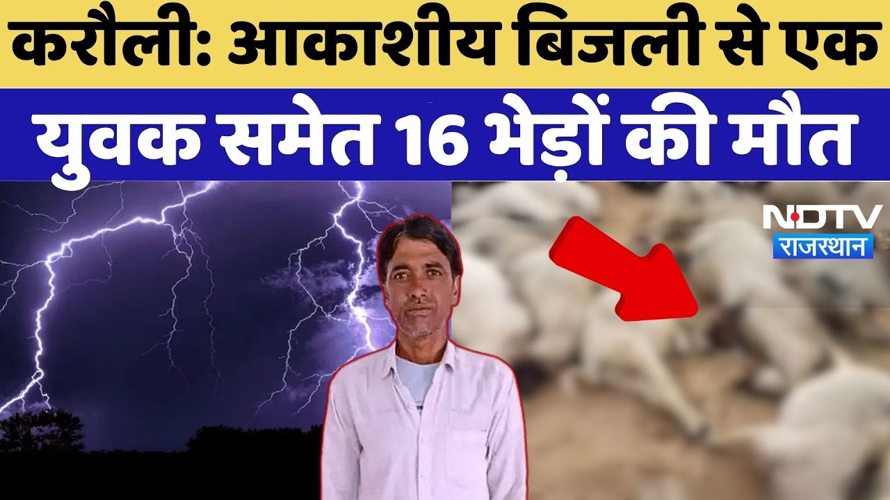 Lightning Strike Karauli: आकाशीय बिजली से एक युवक समेत 16 भेड़ों की हुई मौत | Accident Lightning Strike Karauli: आकाशीय बिजली से एक युवक समेत 16 भेड़ों की हुई मौत | Accident