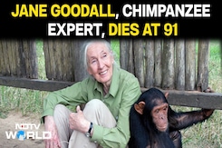 Dr Jane Goodall | Jane Goodall, Conservationist Renowned For Environmental Advocacy, Dies At 91 Dr Jane Goodall | Jane Goodall, Conservationist Renowned For Environmental Advocacy, Dies At 91