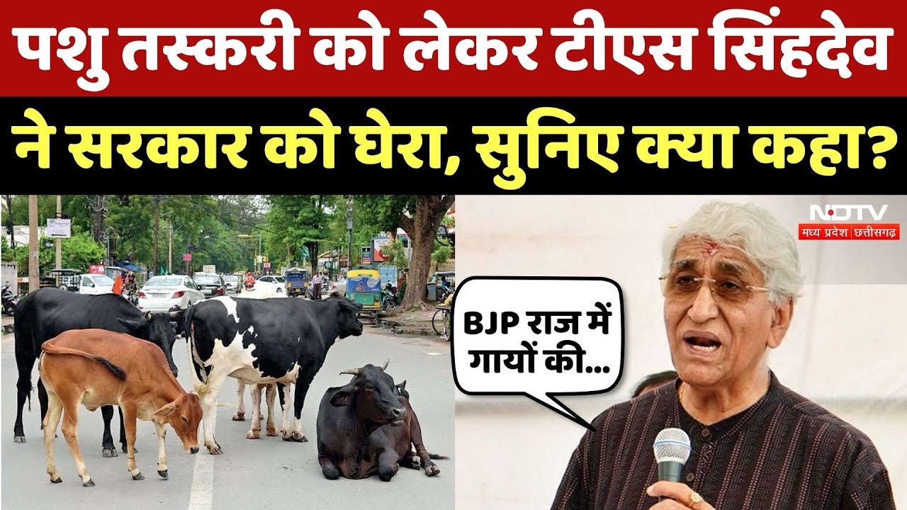 T. S. Singh Deo ने पशु तस्करी को लेकर सरकार पर बोला हमला, सुनिए क्या कुछ कहा? CG Latest News T. S. Singh Deo ने पशु तस्करी को लेकर सरकार पर बोला हमला, सुनिए क्या कुछ कहा? CG Latest News